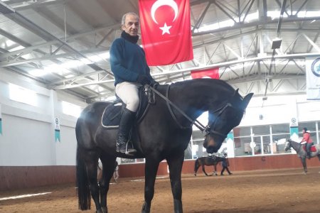 At Eğitimi