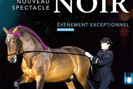 Dünyada Atçılık Uygulamaları