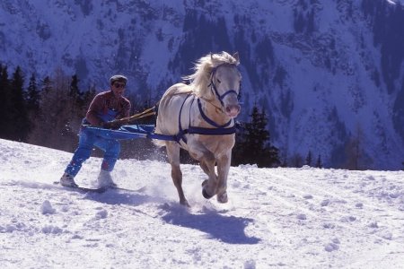 Dünyada Atçılık Uygulamaları