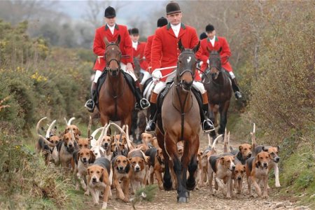 Dünyada Atçılık Uygulamaları