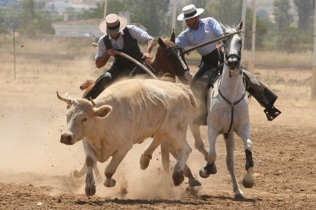 Dünyada Atçılık Uygulamaları