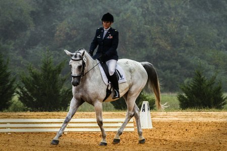 Dünyada Atçılık Uygulamaları