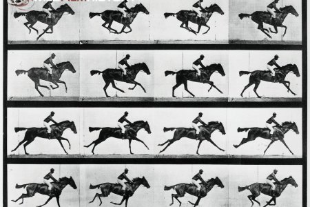 Dünyada Atçılık Uygulamaları