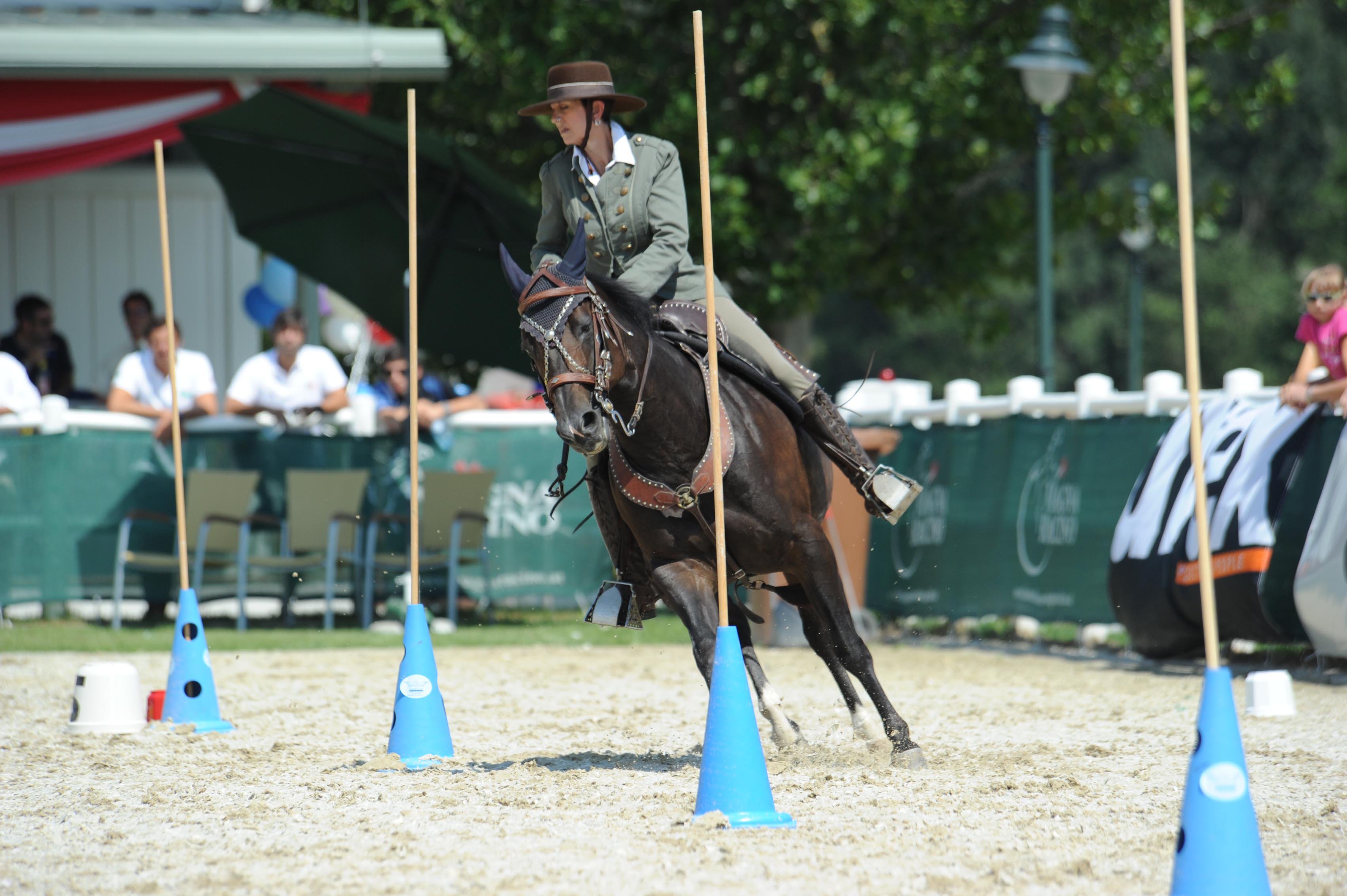 Working Equitation (weiausa