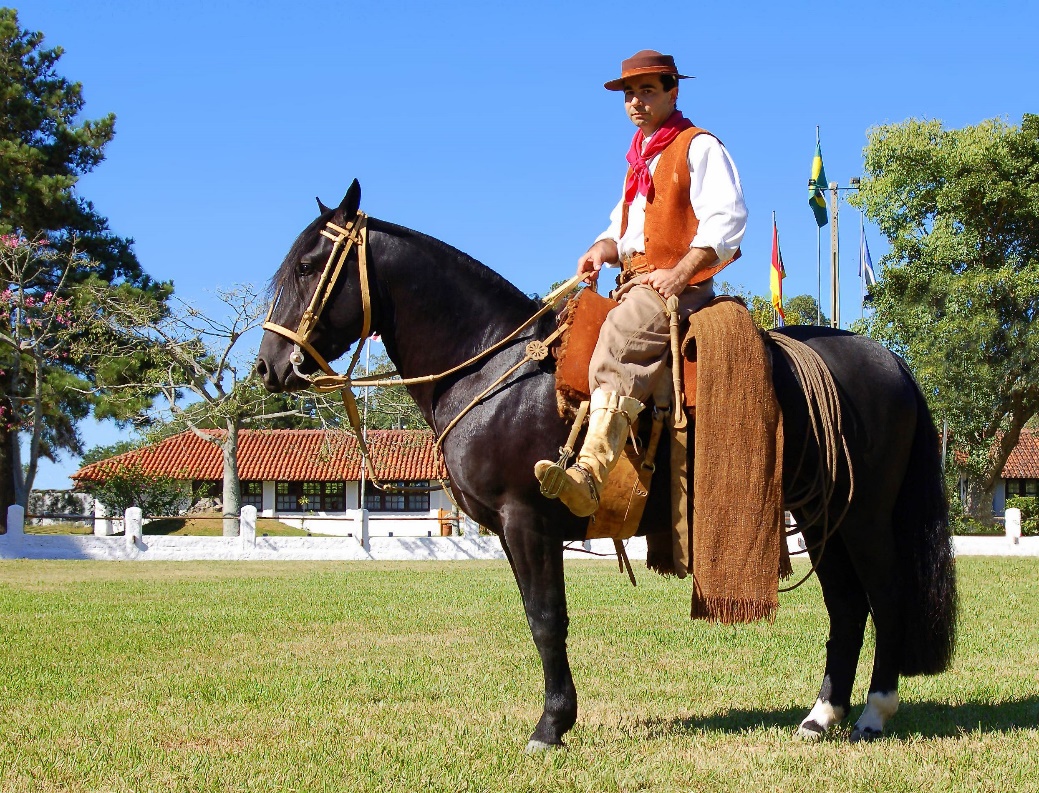 Arjantin Criollo - Gaucho (flickr