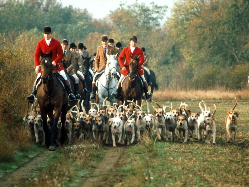 Foxhunting-(theecologist