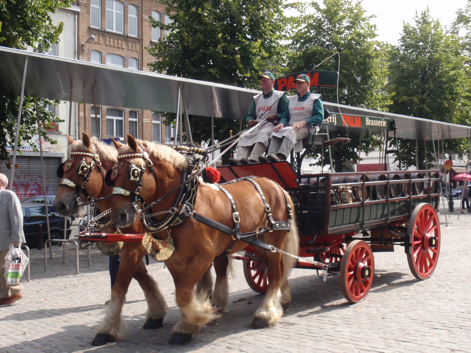 Belgian Draft Horse (loelandpaula