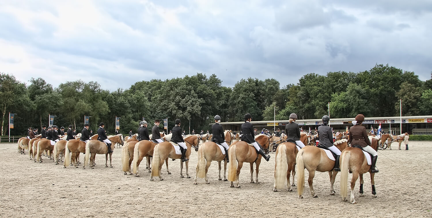 Ermelo Haflinger Evenement 8flickr9 4