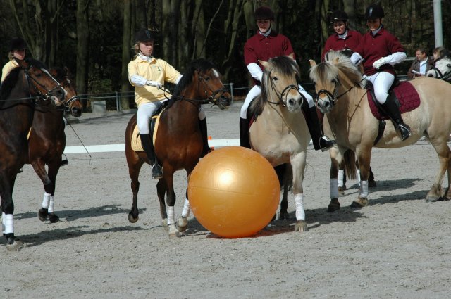 Horse Pushball 9