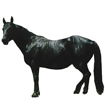 Yili Horse 1