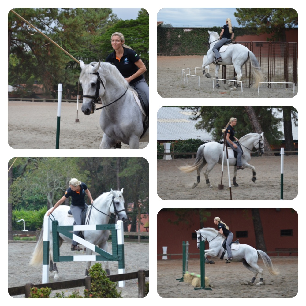 http://straightnesstraining.s3.amazonaws.com/masters/working-equitation/working-equitation.jpg