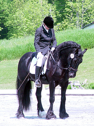 Dales Pony (briarhillfarm