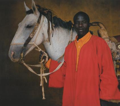 Dongola Horse (thelongridersguild