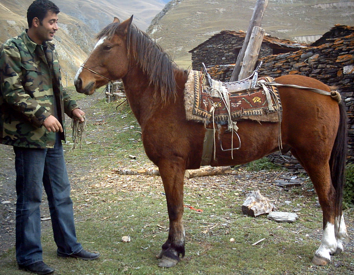Tusheti horse (flickr