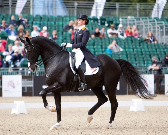 Hanoverian Salinero - Anky_van_Grunsven (topiberian