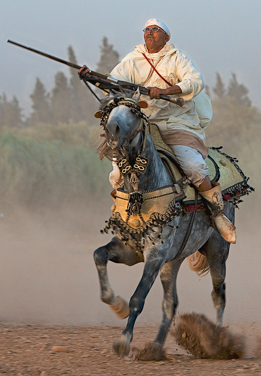 Barb Horse morocco_horse_rider_photo (digital-art-gallery