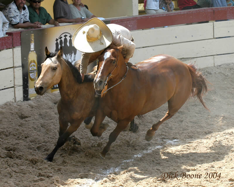 Charro (Paso de Muerte)