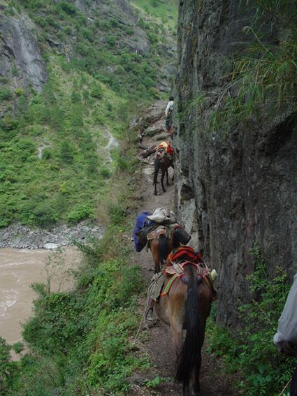 Tea_and_Horse_Caravan_Road (chinaculture