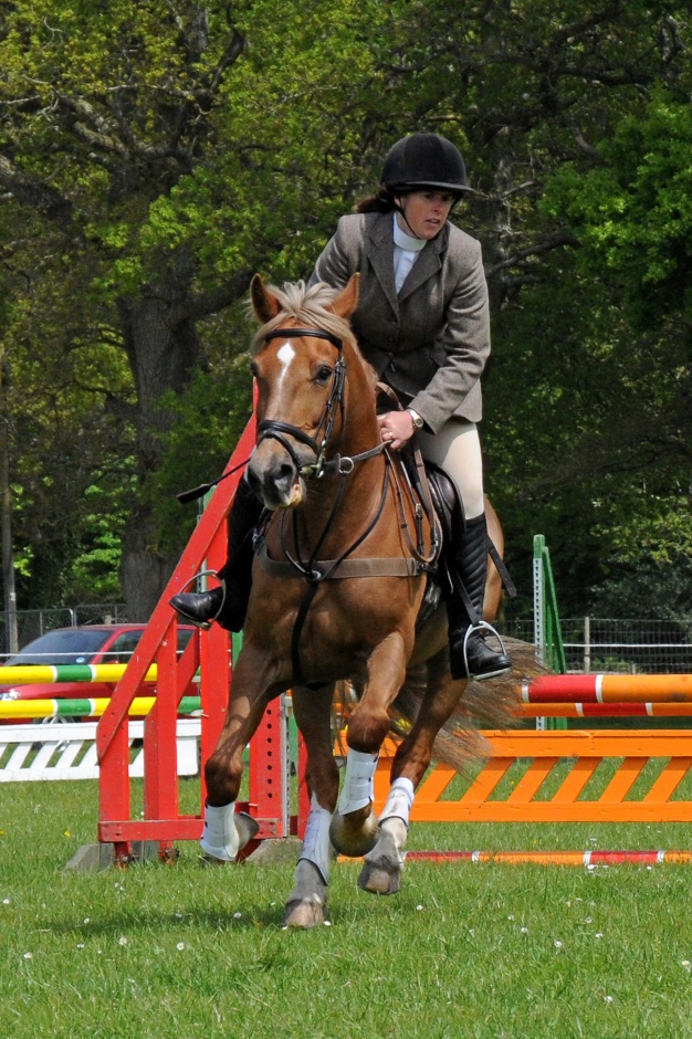 Welsh Section D (flickr