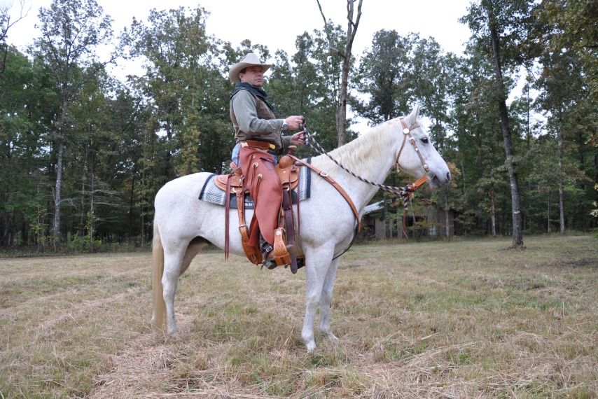 Florida Cracker Horse (flickr